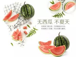 槑文化吃瓜,揭秘网络热词背后的趣味与智慧