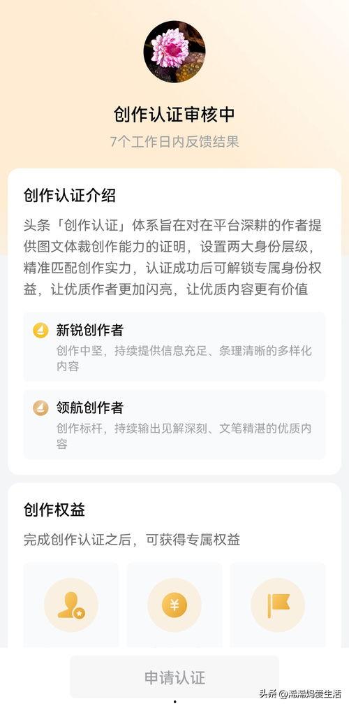 头条作者认证,揭秘自媒体时代的内容创作者身份认证之路