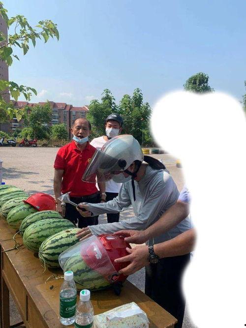 揭阳炮台吃瓜事件,一场引发热议的网络狂欢