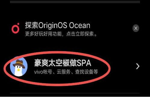 什么是头条账号定位功能,精准内容分发，助力品牌影响力提升