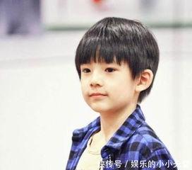 明星儿子最帅,明星儿子最帅瞬间大盘点