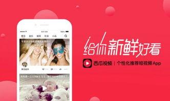 西瓜视频怎么引用微头条,巧妙引用微头条，打造引人入胜的概述文章副标题