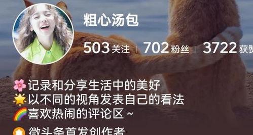 头条创作的48天,见证奇迹的诞生