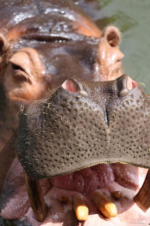 忠实的吃瓜者,揭秘娱乐圈幕后真相