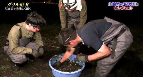 牛哥最新爆料视频大全集