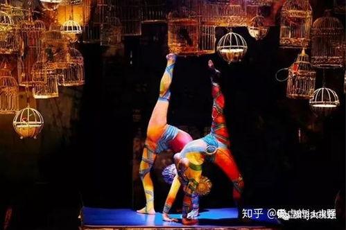 马戏团里的明星