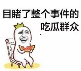 吃瓜群众聪明,揭秘娱乐圈幕后真相