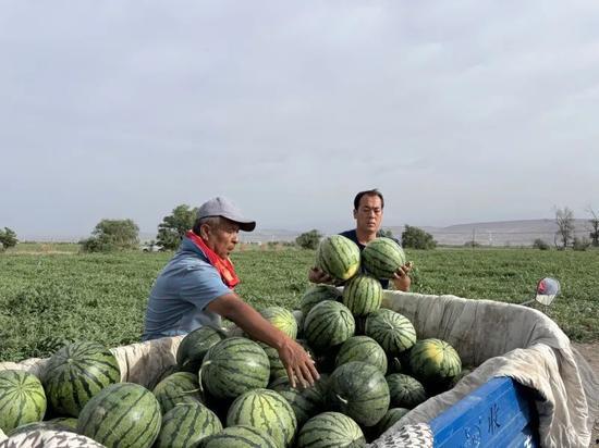 小白天吃瓜,揭秘娱乐圈那些不为人知的幕后故事