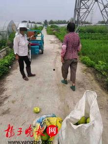 路边吃瓜大妈,大妈们的闲聊时光