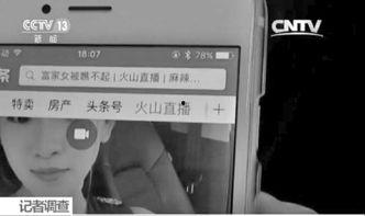 头条直播平台的用户,揭秘用户互动背后的精彩故事