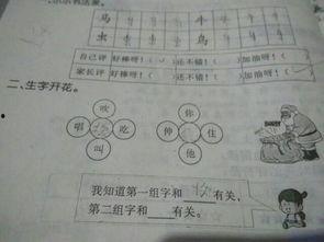 小学数学吃瓜问题,小学数学吃瓜问题趣味解析