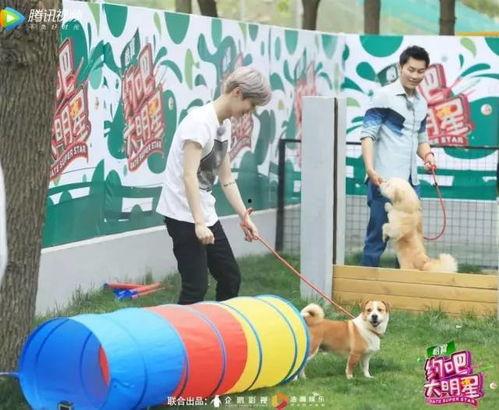 约吧大明星七期,星光熠熠，青春绽放