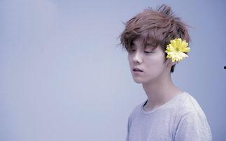 明星喜欢粉丝,揭秘明星们的粉丝情缘