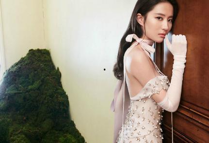 明星如一帆,明星之路的璀璨启航