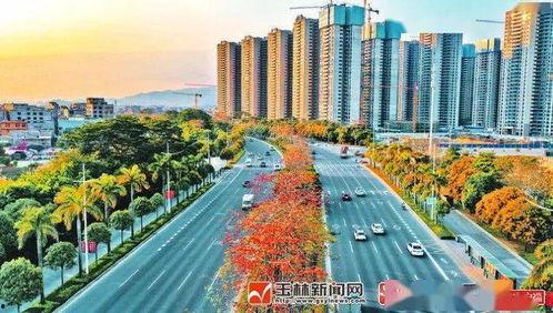 玉林头条深柳路口