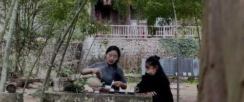 网红乡愁,网红视角下的故乡情怀